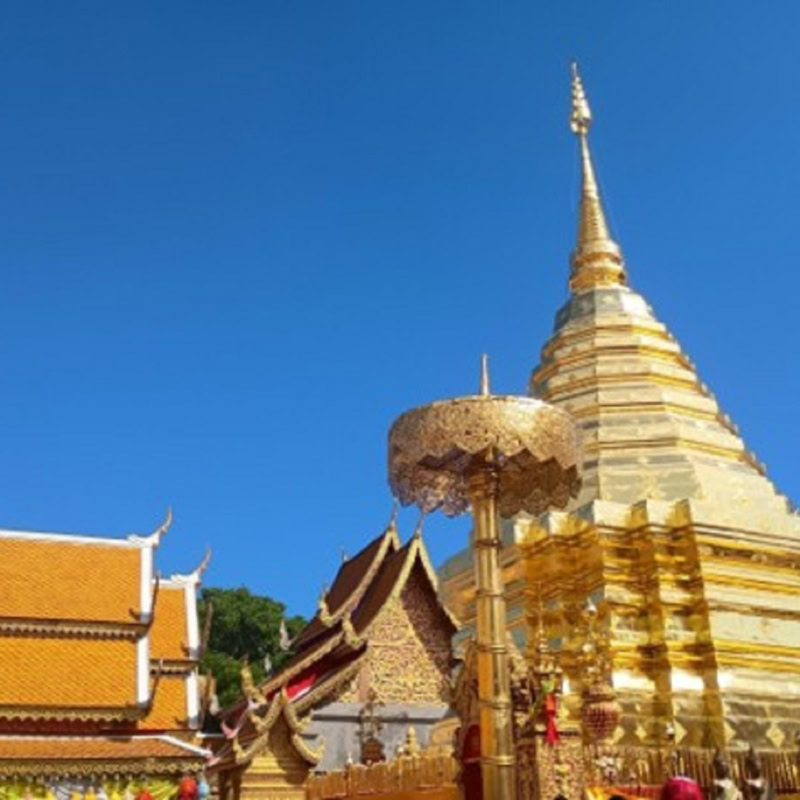 【60代ブログ】タイ屈指のパワスポ、黄金に輝く寺院が圧巻！美味しいスポットもチェック｜素敵ブロガーインド先生のシニア旅行記