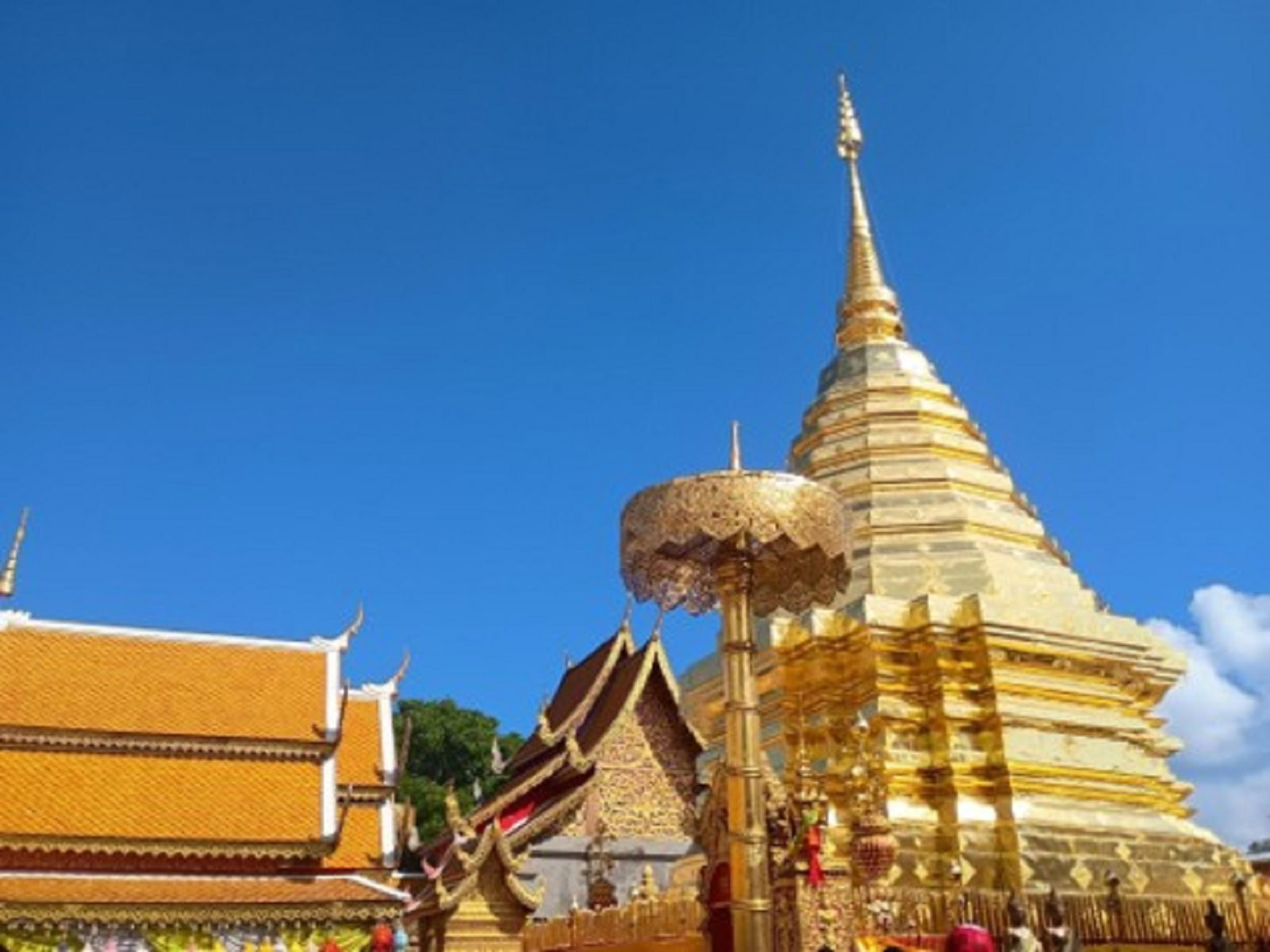 インド先生2月ブログ