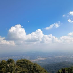 インド先生2月ブログ⑦