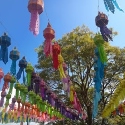 インド先生2月ブログ⑧