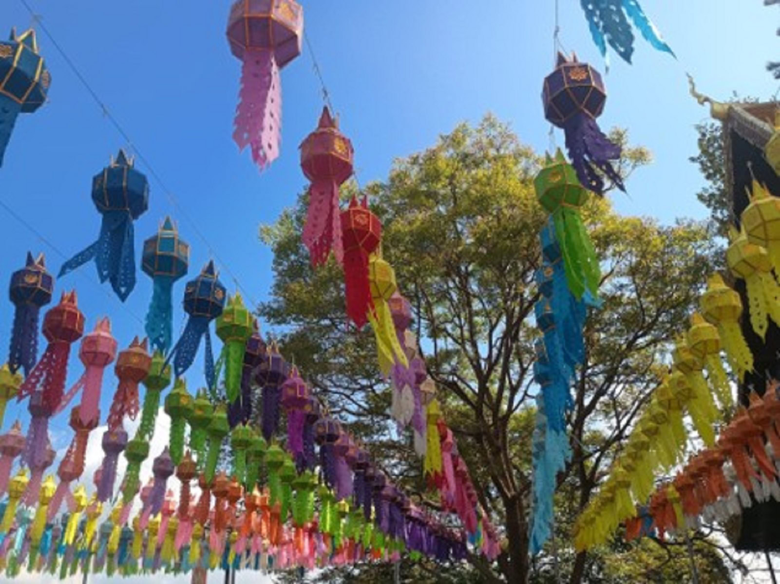 インド先生2月ブログ⑧