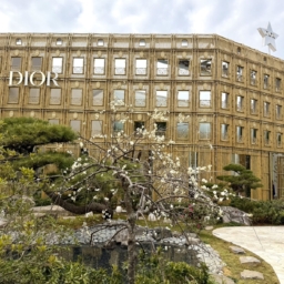 豊田さん2月ブログ⑤