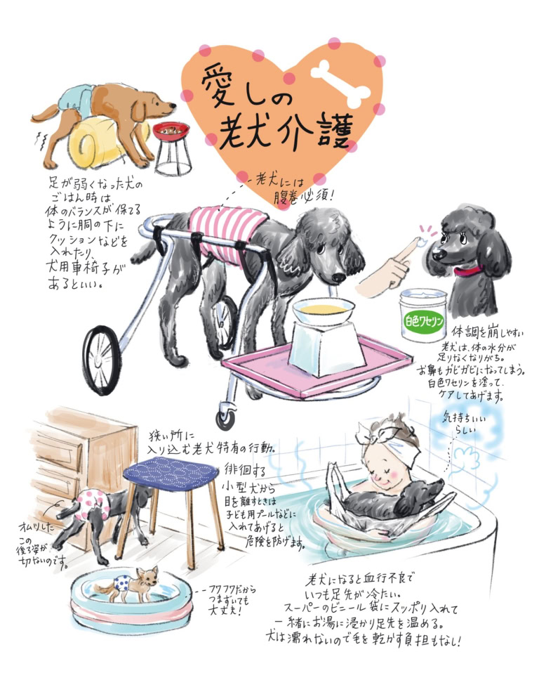 愛しの介護保険