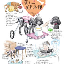 愛しの老犬介護