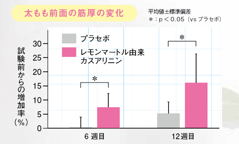 太もも前面の筋厚の変化0226