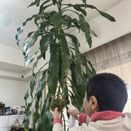 冬場は霧吹きでお手入れ