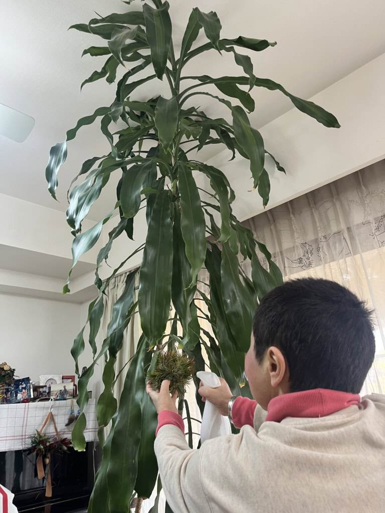 冬場は霧吹きでお手入れ