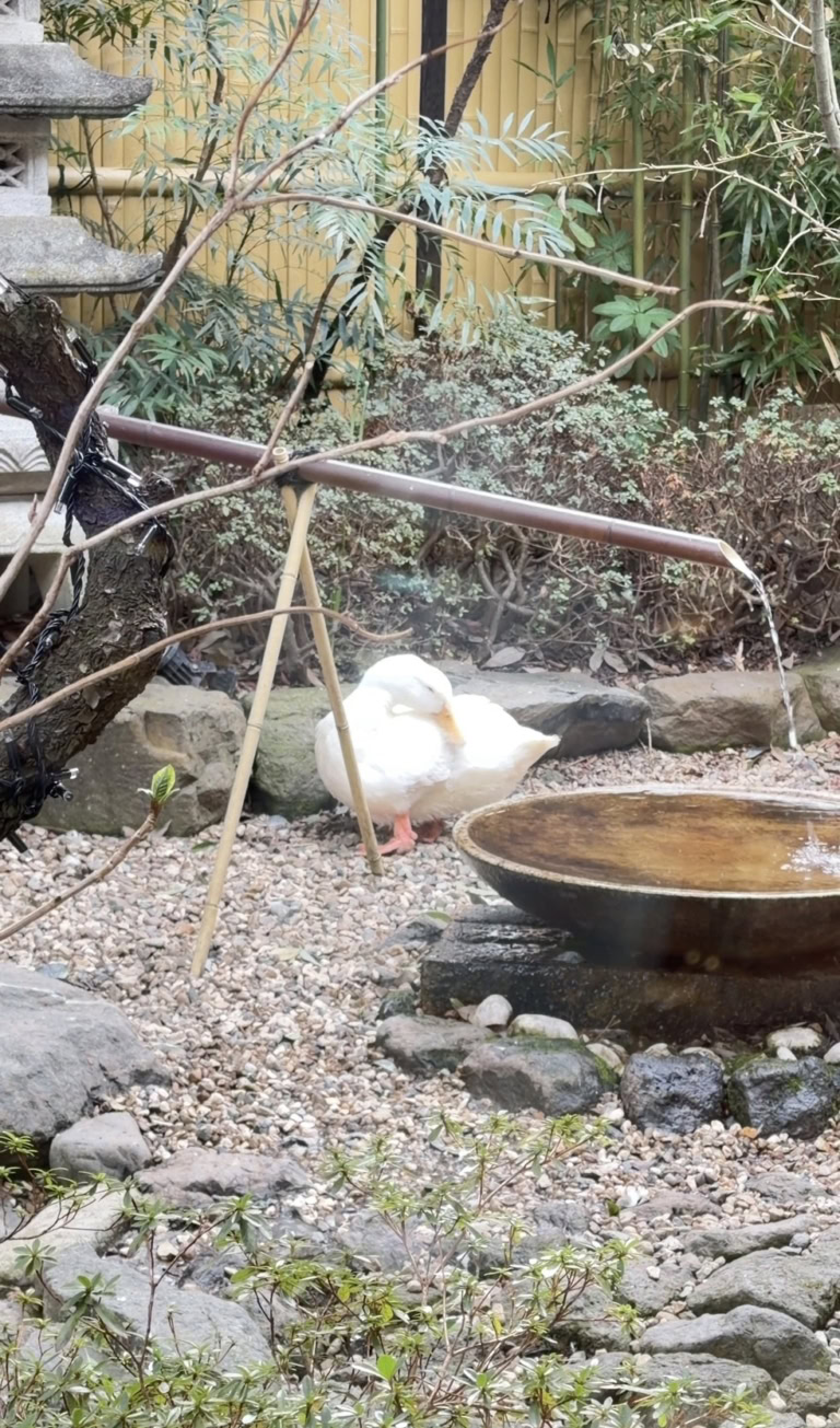 「さくら茶寮」のお庭