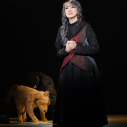 「守るべきものを持たない」とリュウに誓った爪角だが、犬を飼ってしまう。