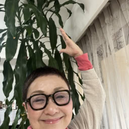 幸福の木「ドラセナ」