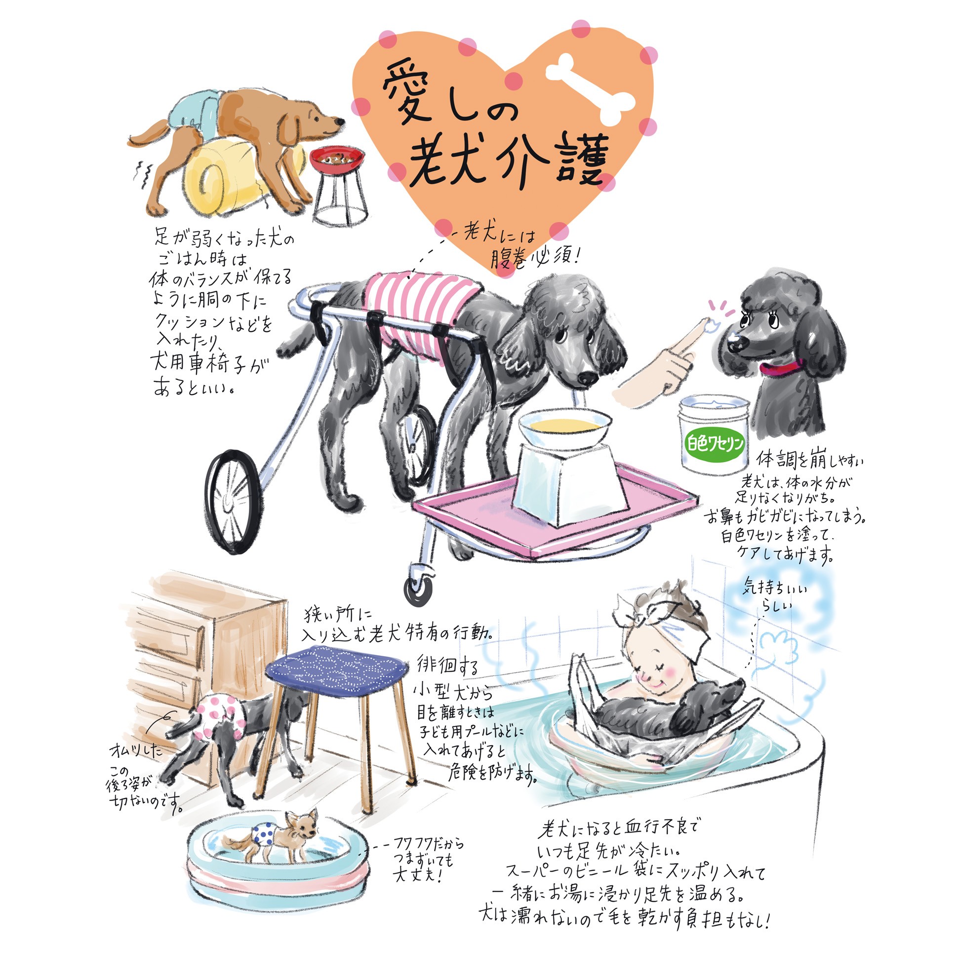 【植草桂子の気分だけでも大人修行】老犬介護のお話です