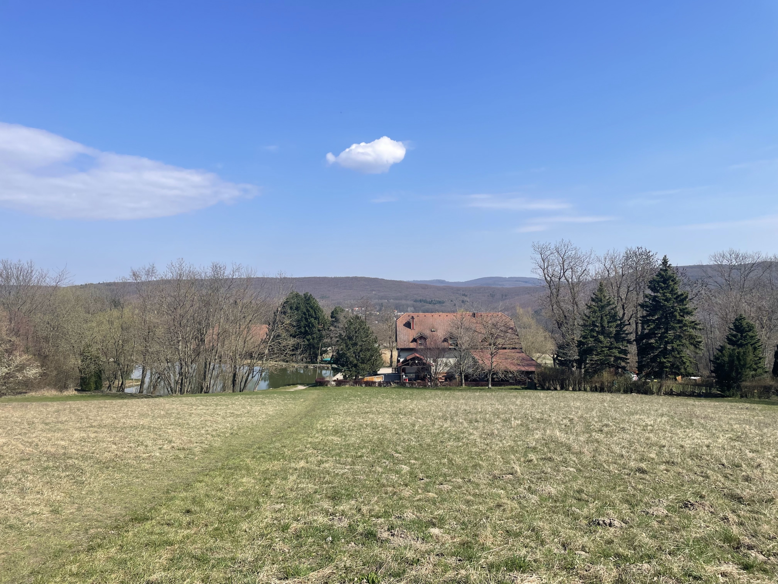 気持ちのいい近くの草原