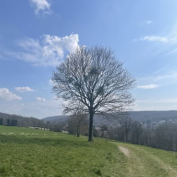 気持ちのいい近くの草原
