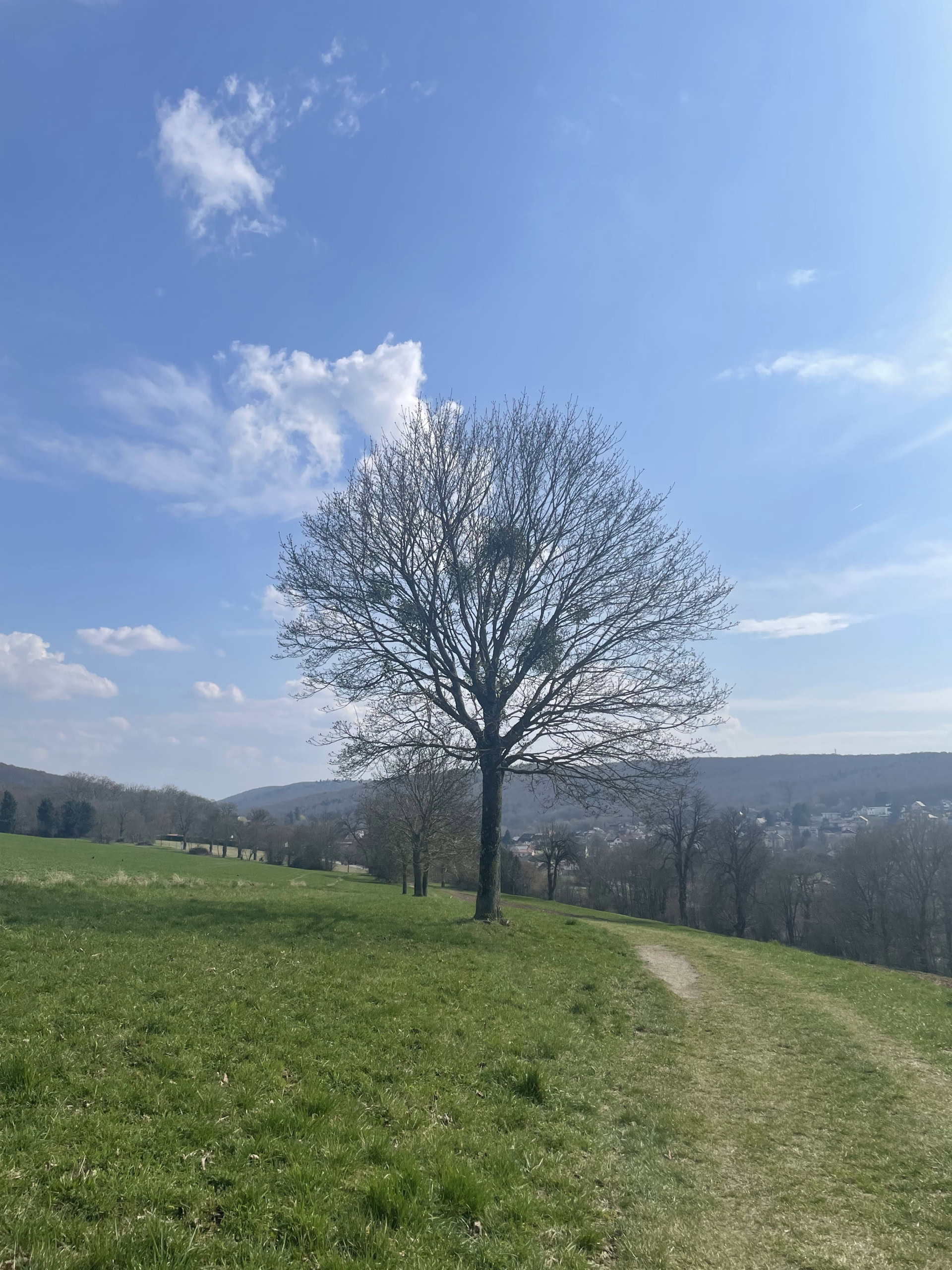 気持ちのいい近くの草原