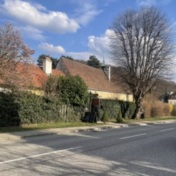 伝統的なオーストリア料理の可愛いレストラン