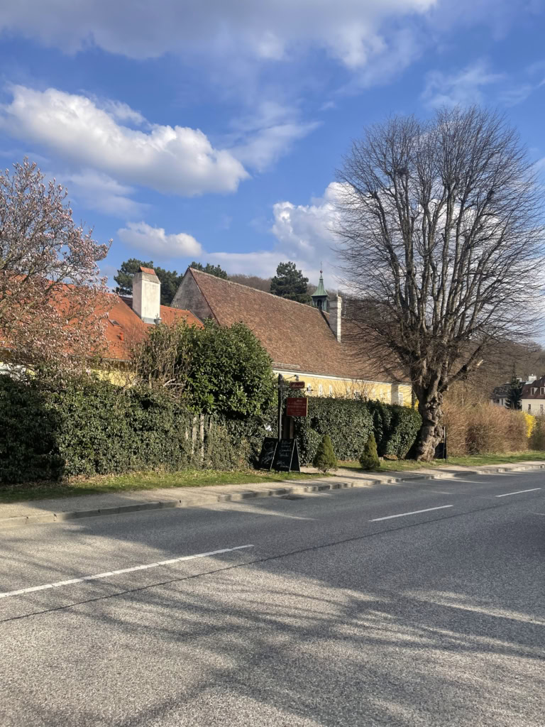 伝統的なオーストリア料理の可愛いレストラン