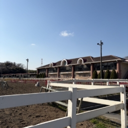 乗馬センター2