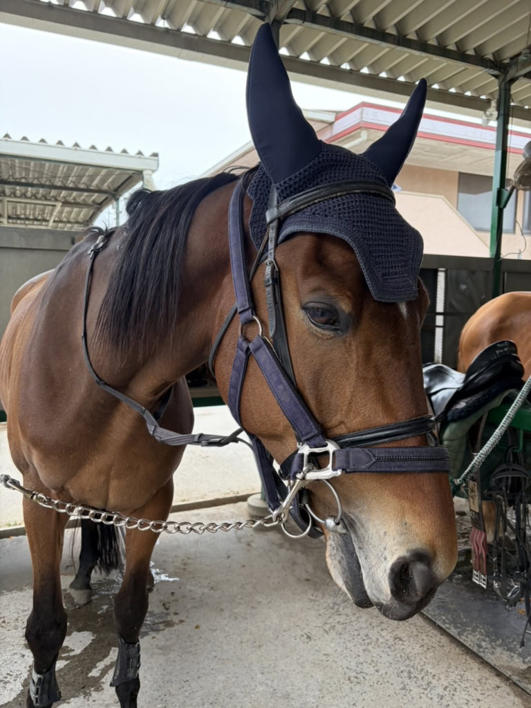 有村さん・乗馬