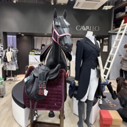 乗馬用品専門店