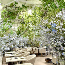 HAUTE COUTURE BRANCH(オートクチュールブランチ）