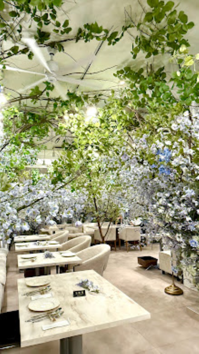 HAUTE COUTURE BRANCH(オートクチュールブランチ）