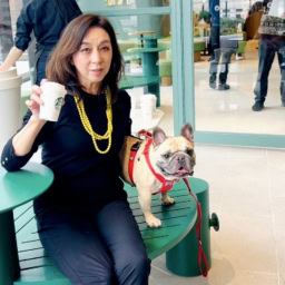 注目の新スポット「OIMACHI TRACKS」