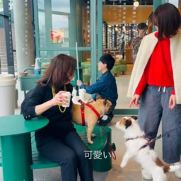 注目の新スポット「OIMACHI TRACKS」にオープンするスターバックスコーヒー