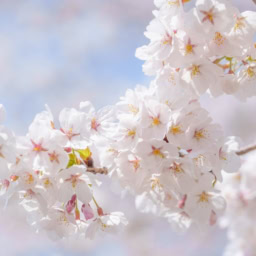 春の睡眠のお悩み