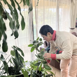 冬場は霧吹きでお手入れ