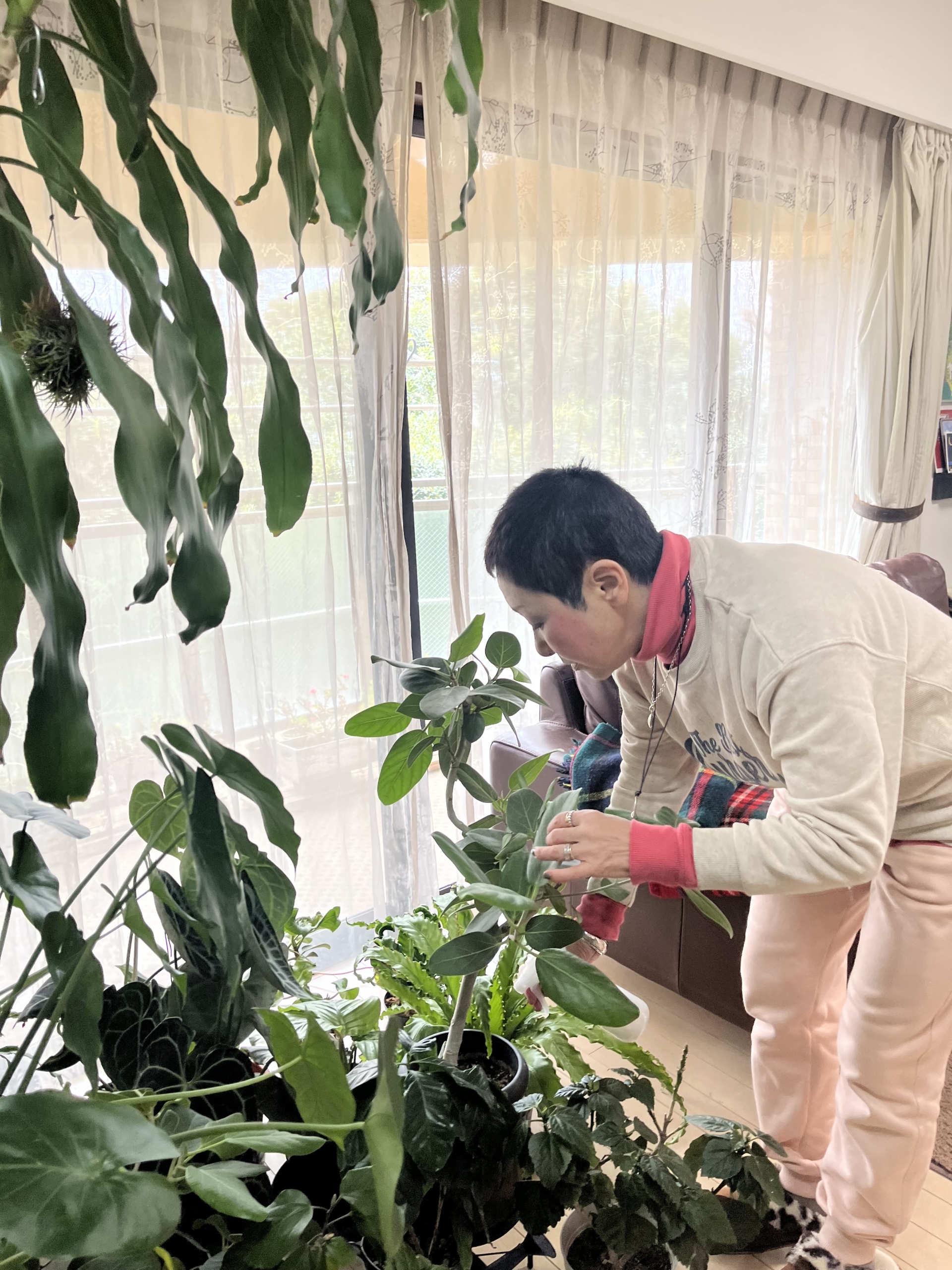 冬場は霧吹きでお手入れ