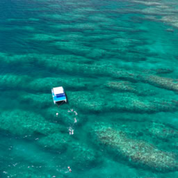 石垣島　フサキビーチリゾート 　アクティビティ