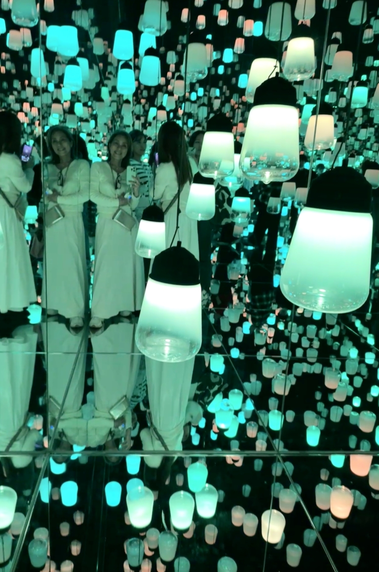 チームラボ バイオヴォルテックス京都