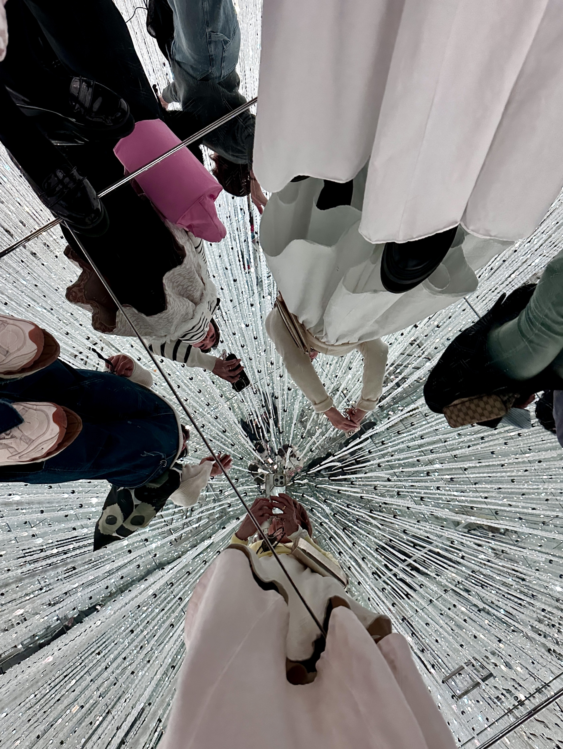 チームラボ バイオヴォルテックス京都