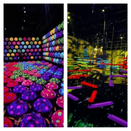 チームラボ バイオヴォルテックス京都