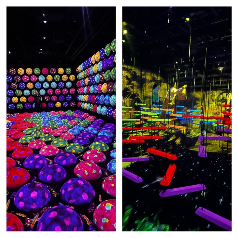 チームラボ バイオヴォルテックス京都