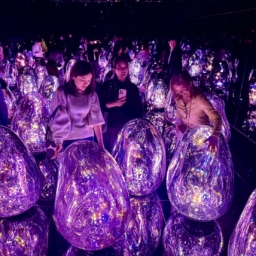 チームラボ バイオヴォルテックス京都