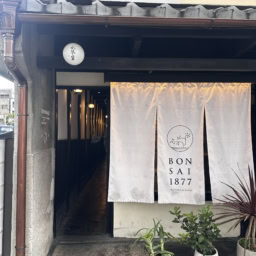 ランチを楽しんだ「BONSAI1877」