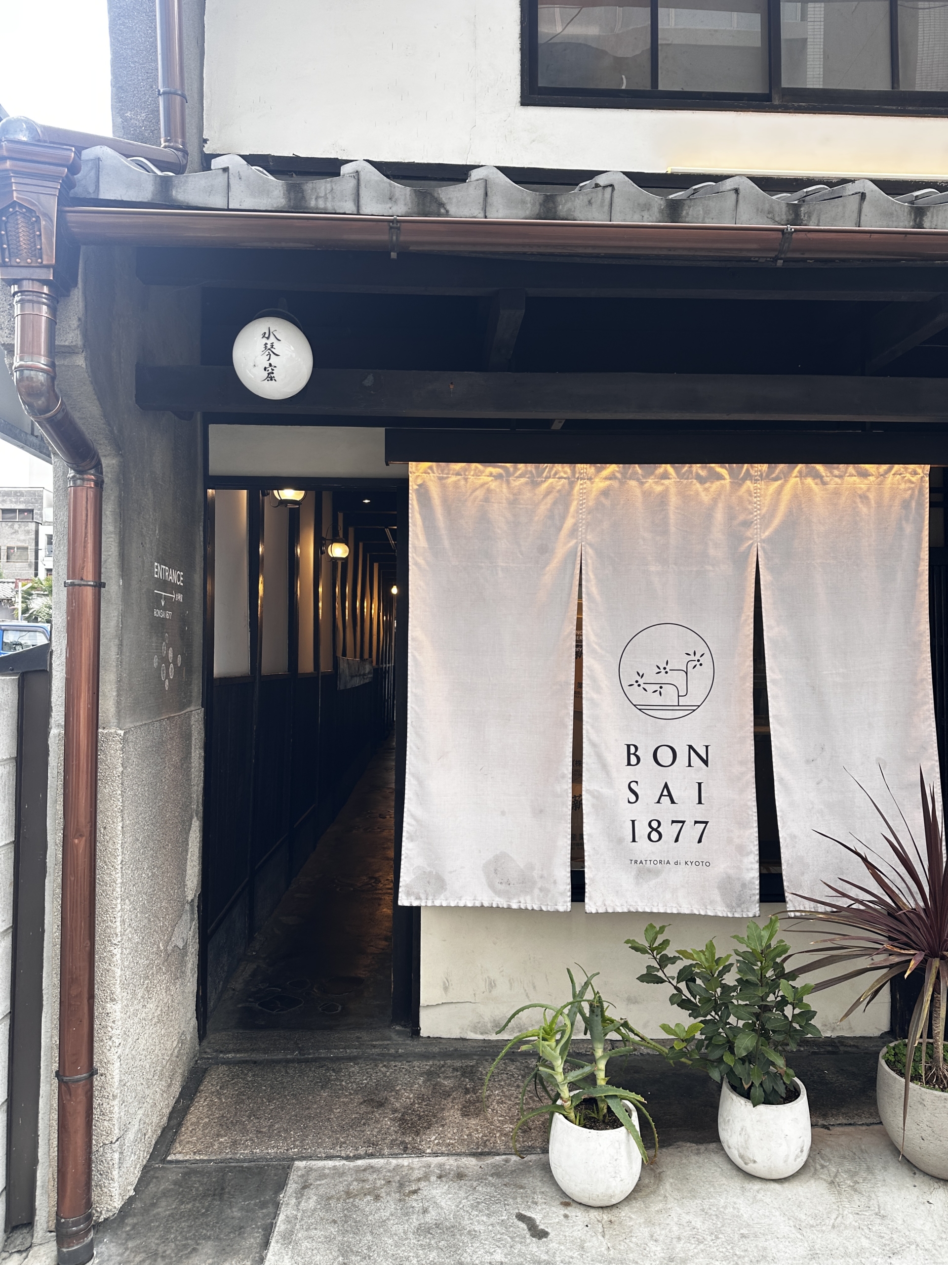 ランチを楽しんだ「BONSAI1877」