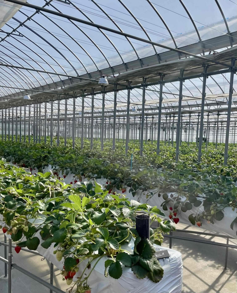 鈴木恵さん3月ブログ②