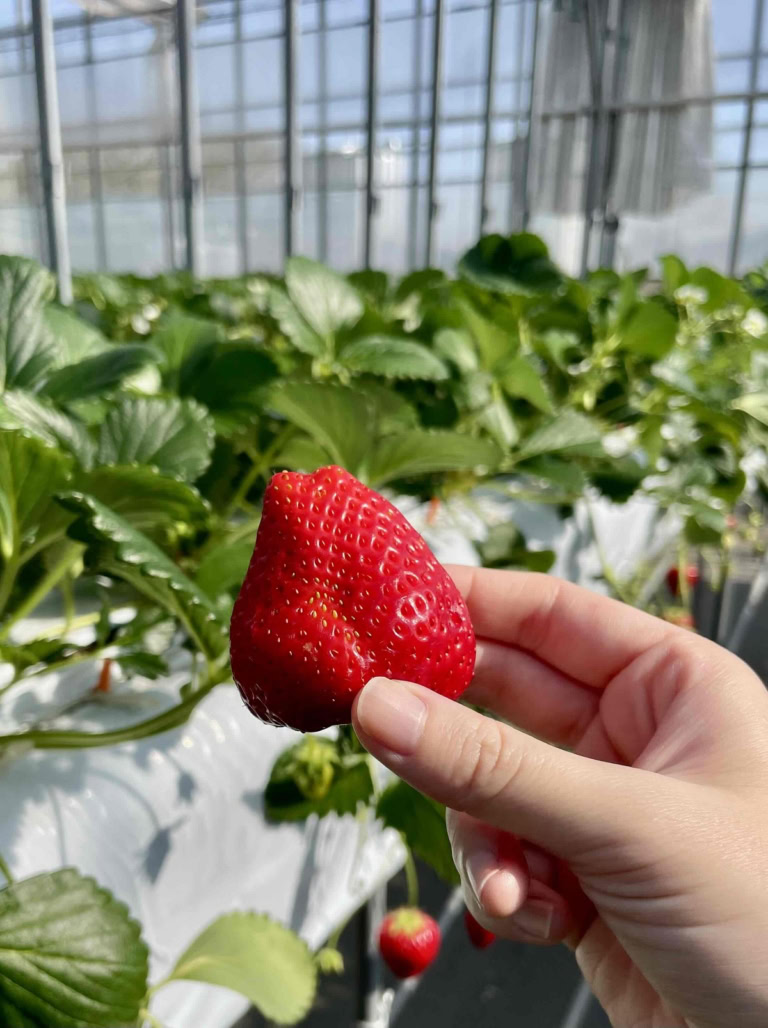 鈴木恵さん3月ブログ③