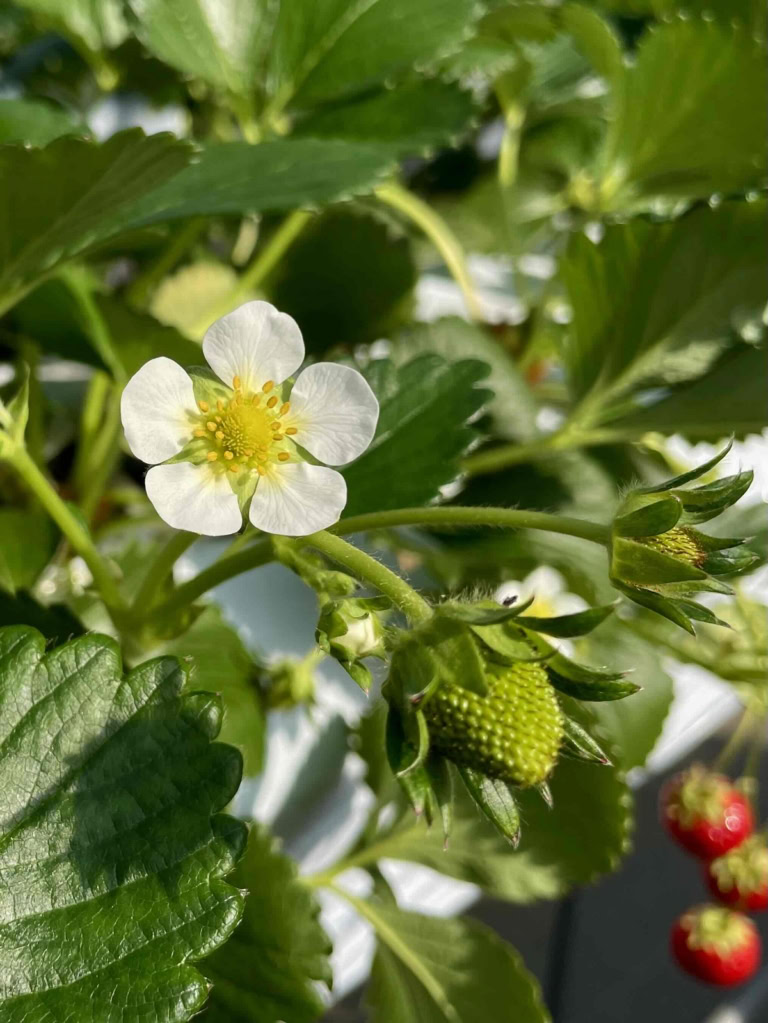 鈴木恵さん3月ブログ⑤