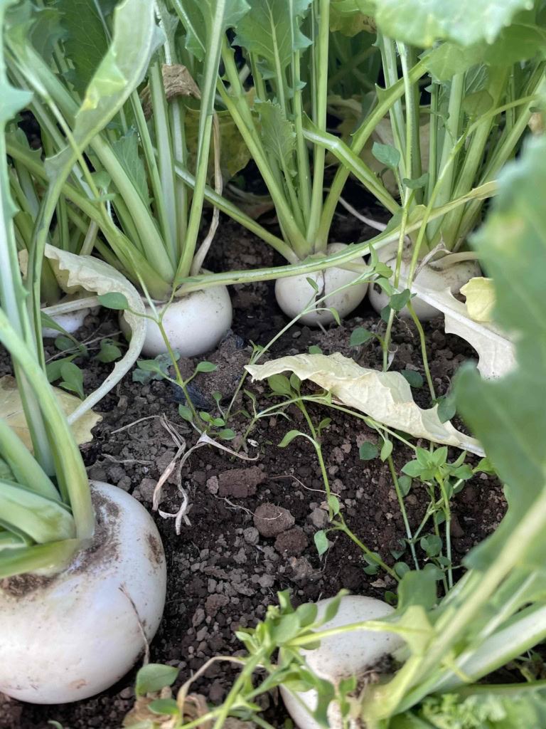 鈴木恵さん3月ブログ⑥