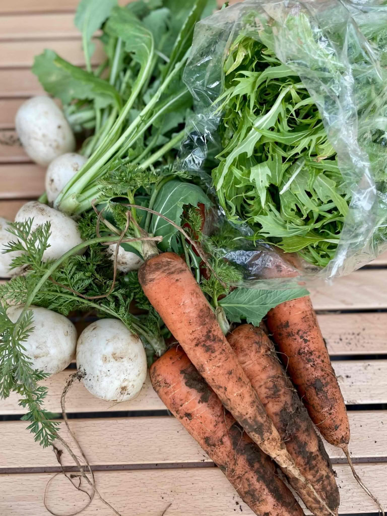 鈴木恵さん3月ブログ⑦