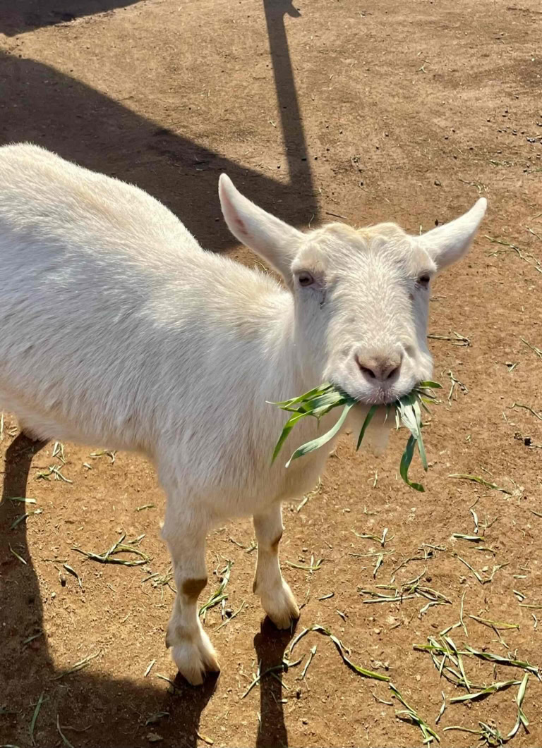 鈴木恵さん3月ブログ⑫