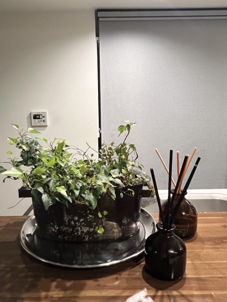 無印良品「インテリアフレグランスオイル シトラス」