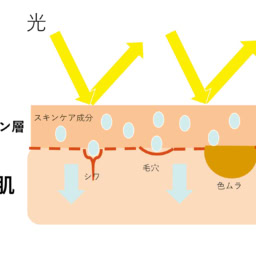 ファンデーションの役割