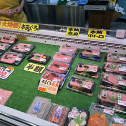 静岡市　いちば館　清水漁港　まぐろ