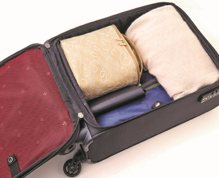 スーツケースにそのまま入れて旅行にも！