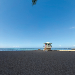 島の自然とともに生きるための大切なルール