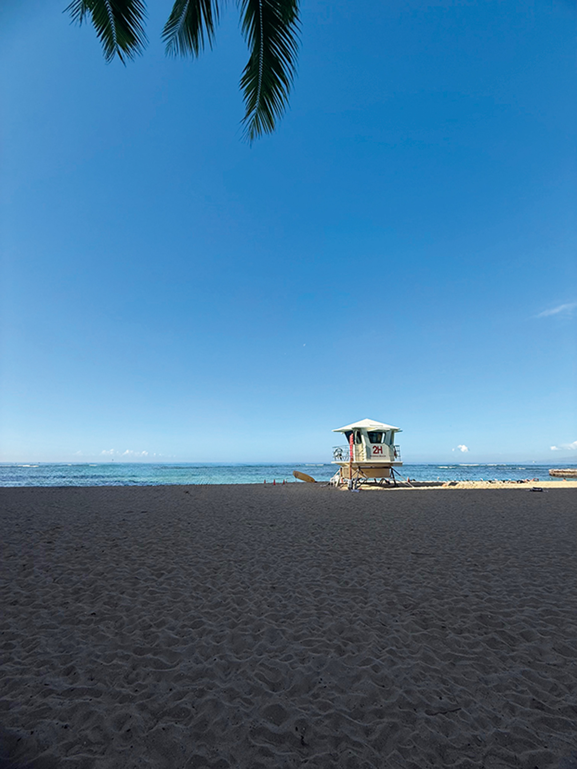 島の自然とともに生きるための大切なルール